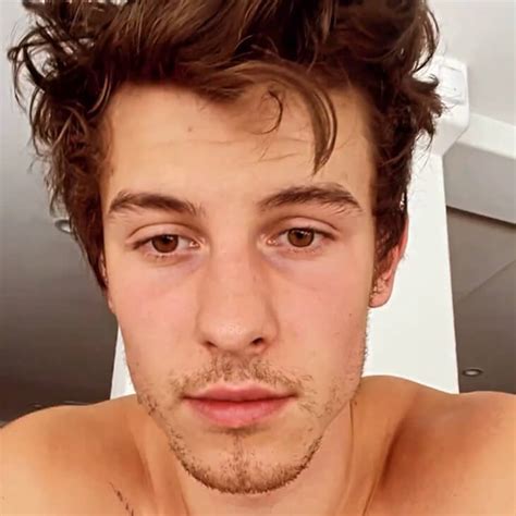 male celebrity nudes|Shawn Mendes Leaked Nude Photos (Read: Dick Pic) – Male。